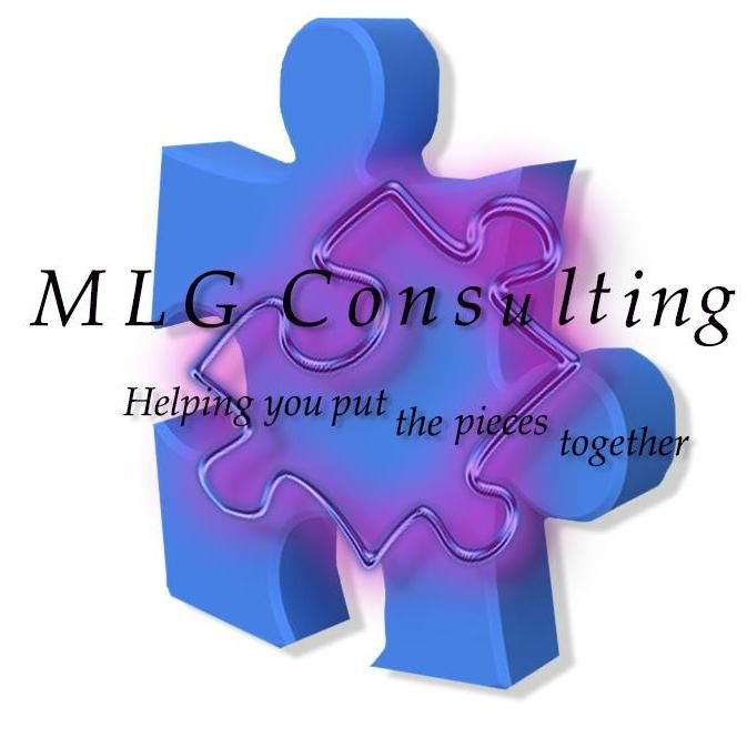 MLG Consulting Services