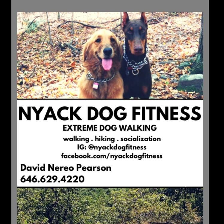 Nyack Dog Fitness