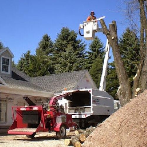 We always use bucket trucks for tree work other th