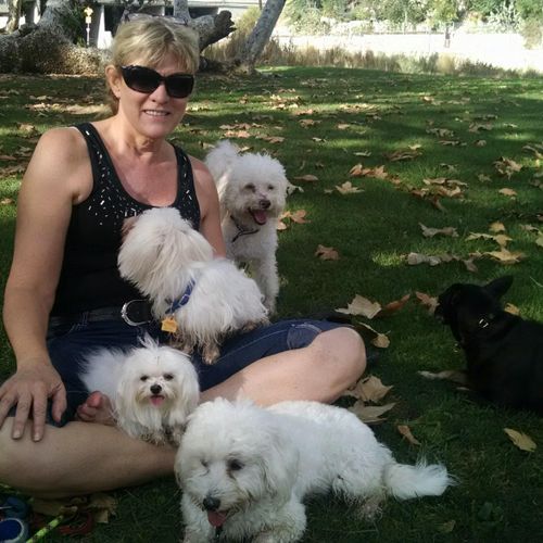 Relaxing in the park with Mia, Sweetie, Bentley, L