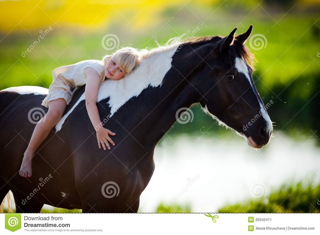 Horses to !