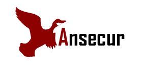 Ansecur Logo
