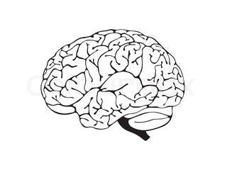 THE BRAIN...What an amazing place to explore 
Mind