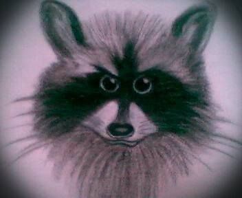 MIXED MEDIA ILLUSTRATION:
"BEAUTY OF THE BANDIT"
M