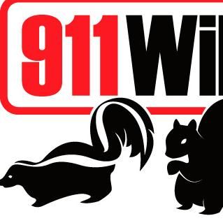 911 Wildlife