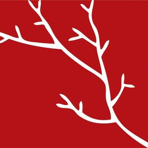 Red Branch Development Llc