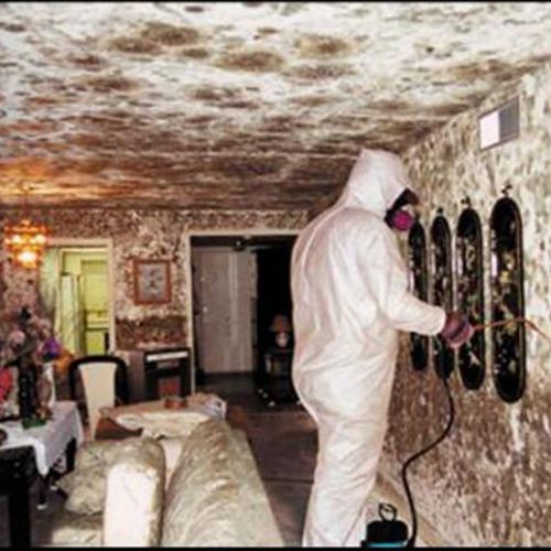 Dont let mold over take your home