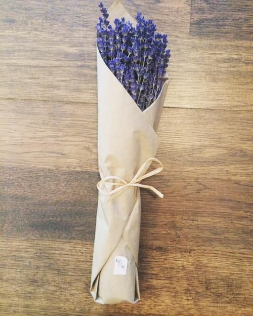 Travel Photography: Texas- 2017