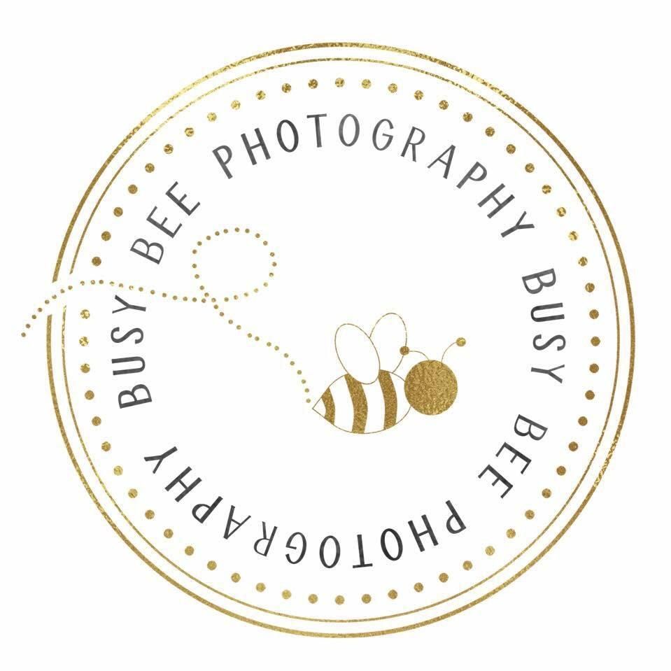 Busy Bee Photography LT