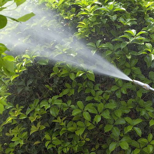 Mosquito Spraying Program in Montgomery, Alabama.