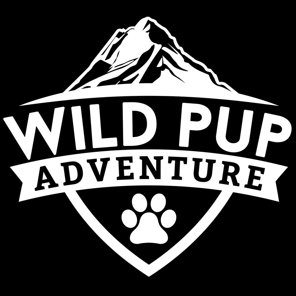 Wild Pup Adventure