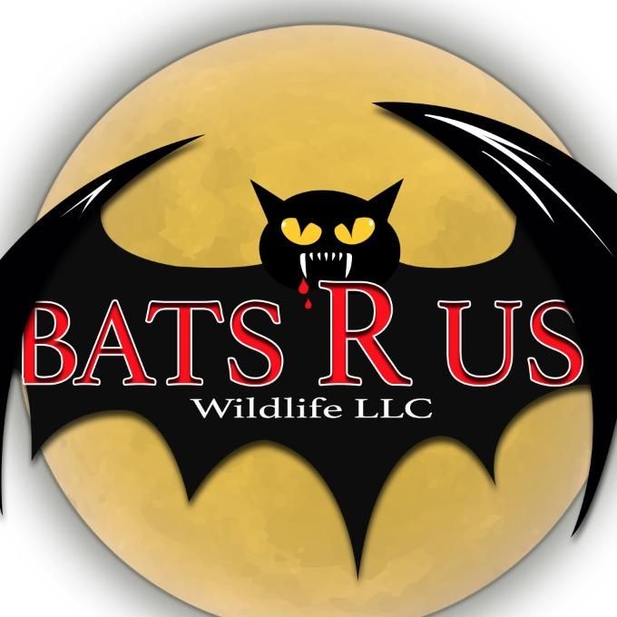 Bats R Us Wildlife LLC