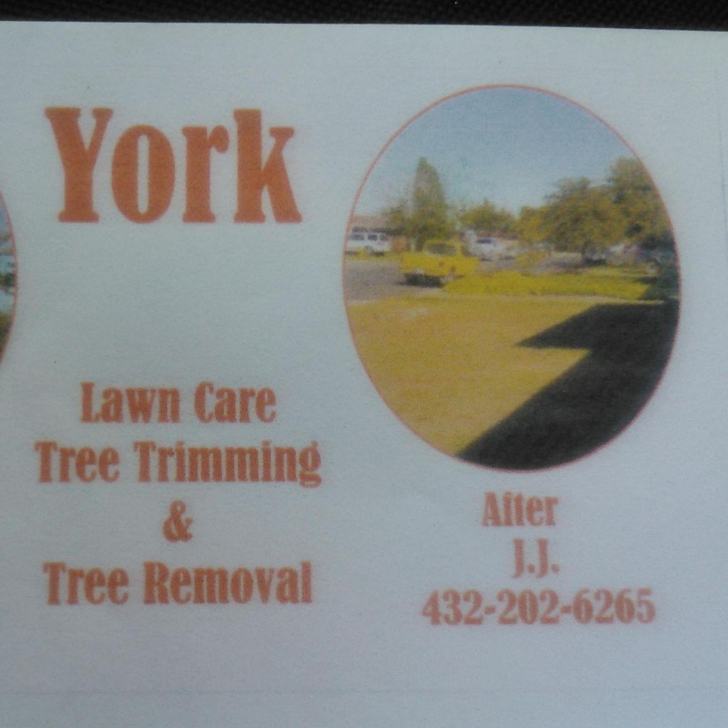 York lawn care, tree trimming, and tree removal