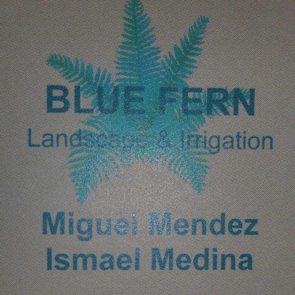 Blue Fern Landscape & Irrigation