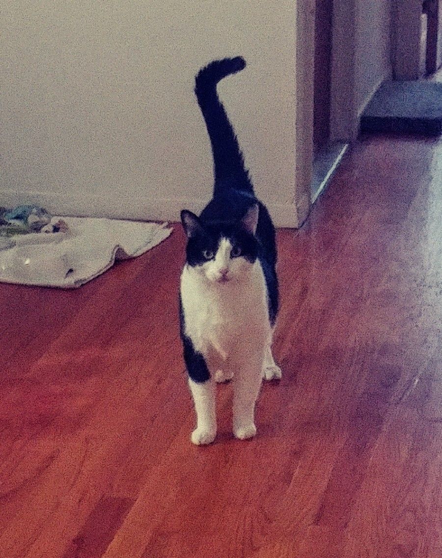 Shy, pretty Lily