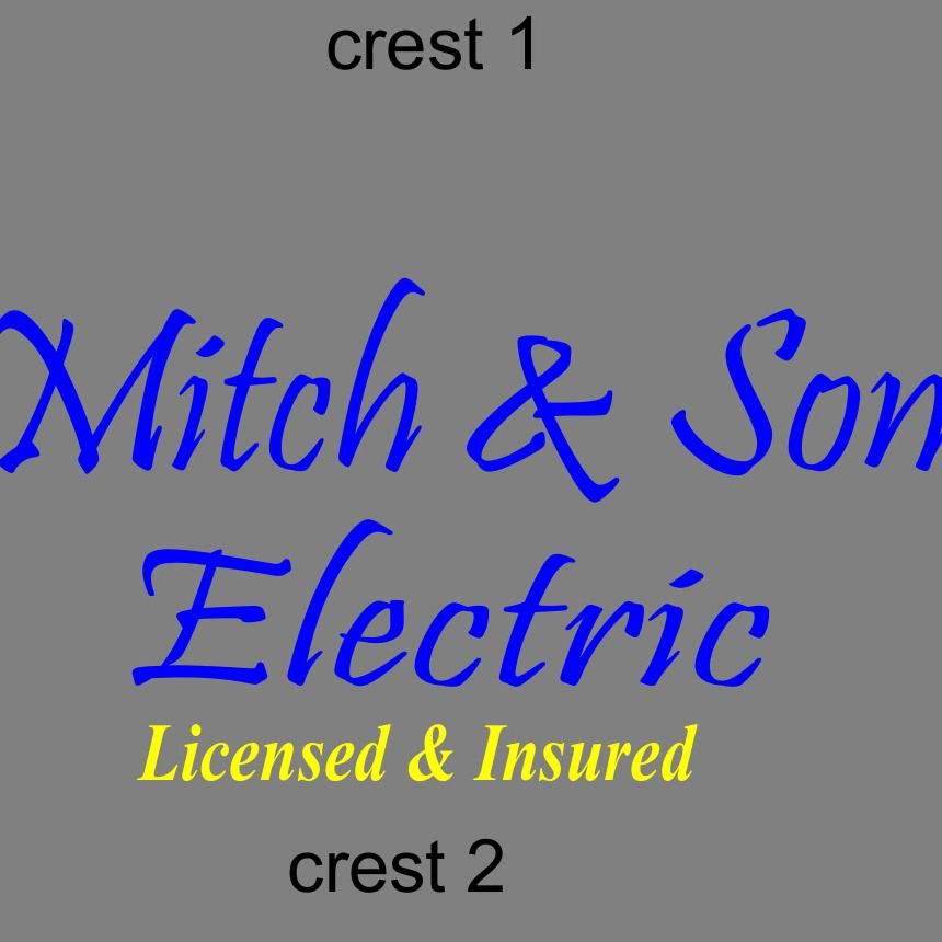 Mitch & Son Electric Company