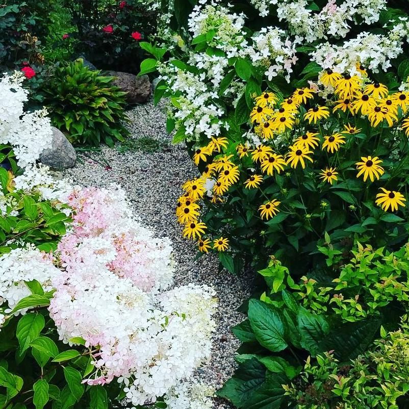 Honey, Be A Flower!