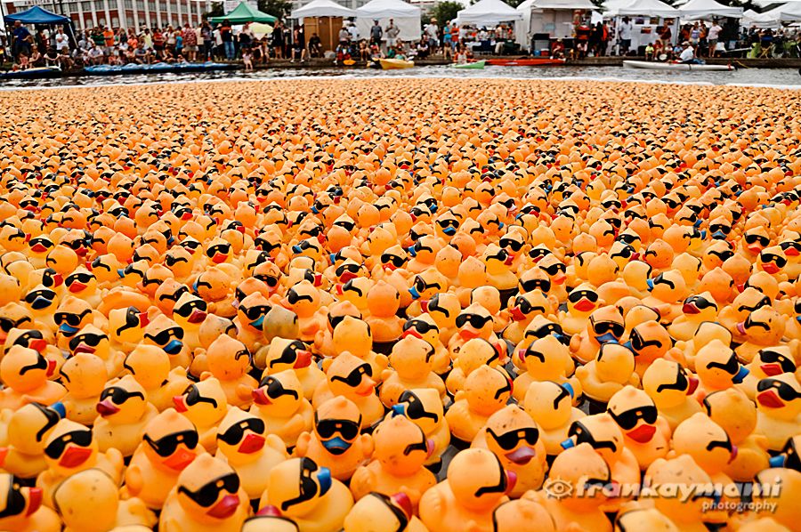 10,000 plus rubber ducks are poured into Bayou St.