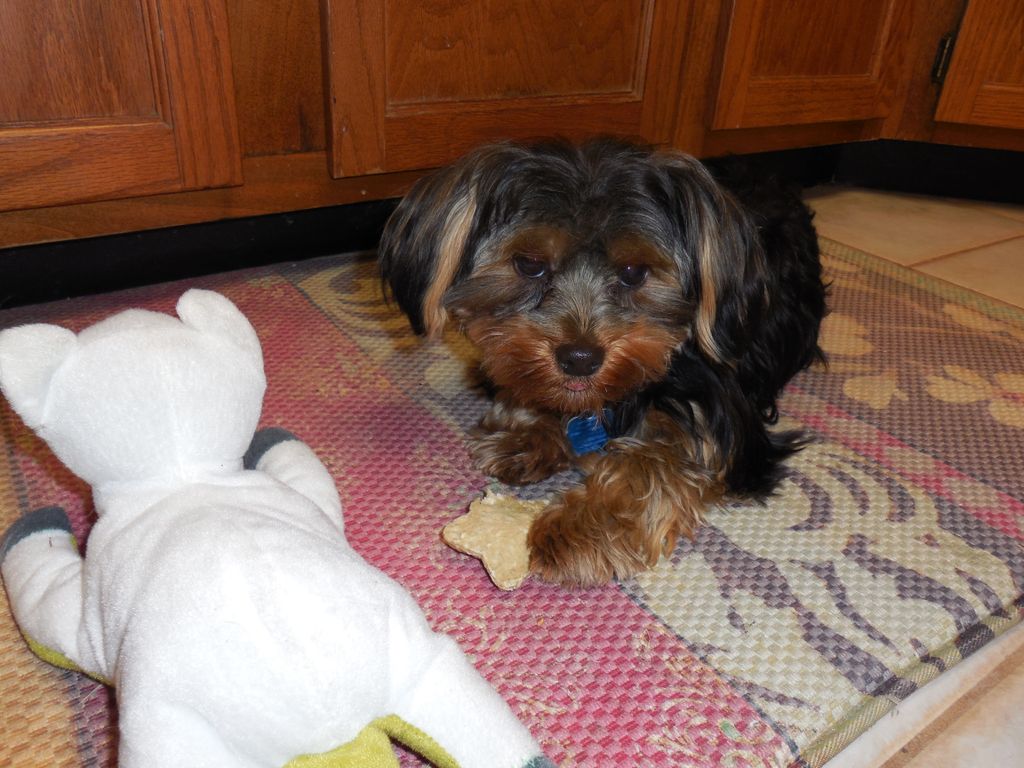 Another one of my best buds..:)