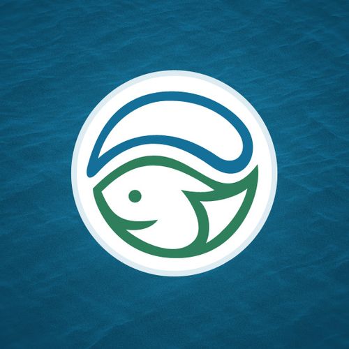 Hot Springs Storm Water Management custom logo des