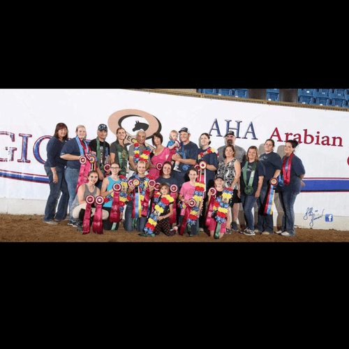 Arabian horse regionals 2017
