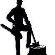 MF Stump Grinding
