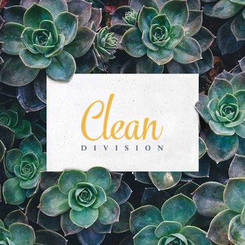 Clean Division