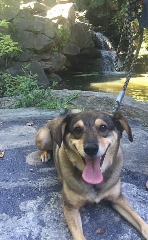 Fred enjoying Central Park