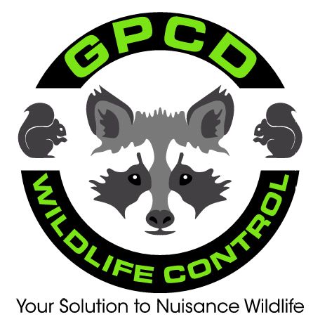 GPCD Wildlife Control