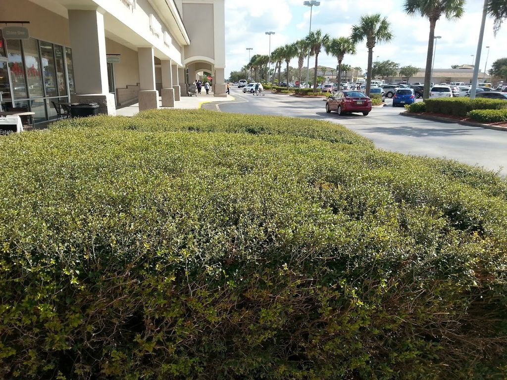 Lawn maintenance
