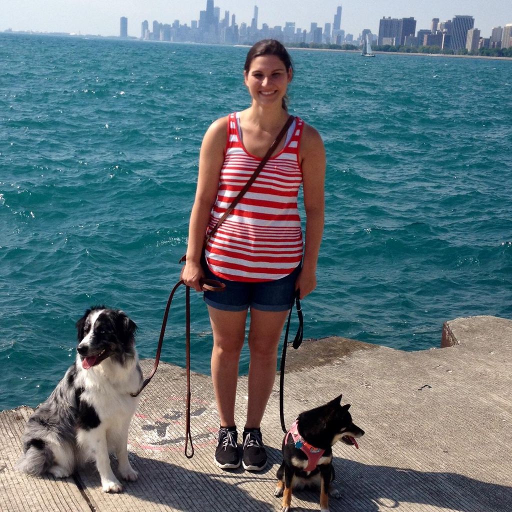 Happy Doggies Chicago