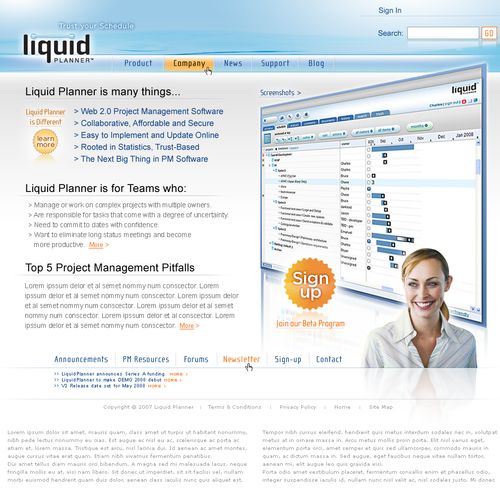 Liquid Planner Web Design.