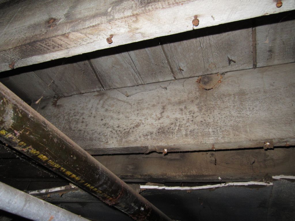 Too much of a fixer upper for you? Let us help.