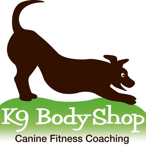 Logo design for canine fitness trainier