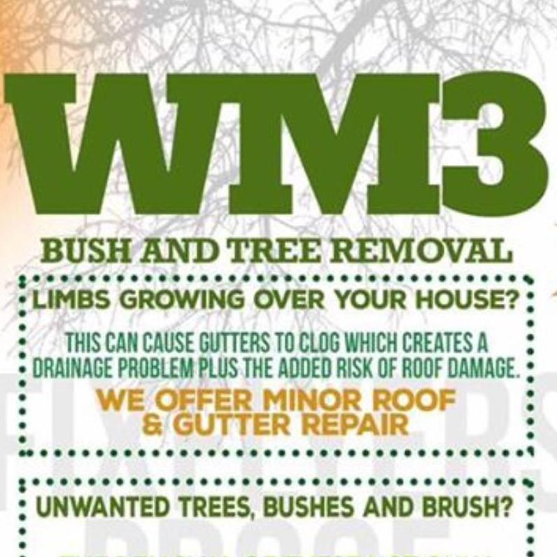 WM3 Tree and Bush removal