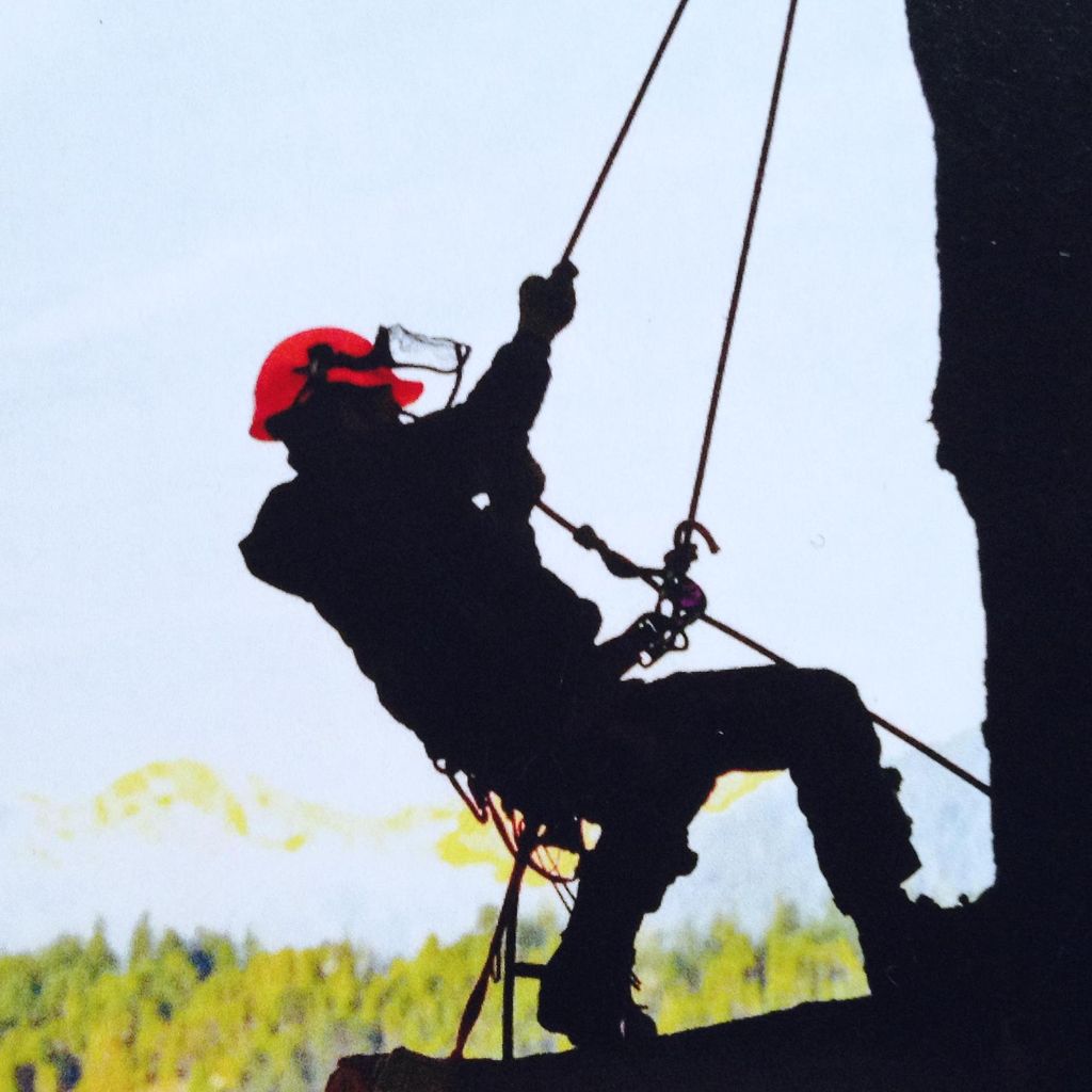 Bunner Property Maintenance and Tree Service
