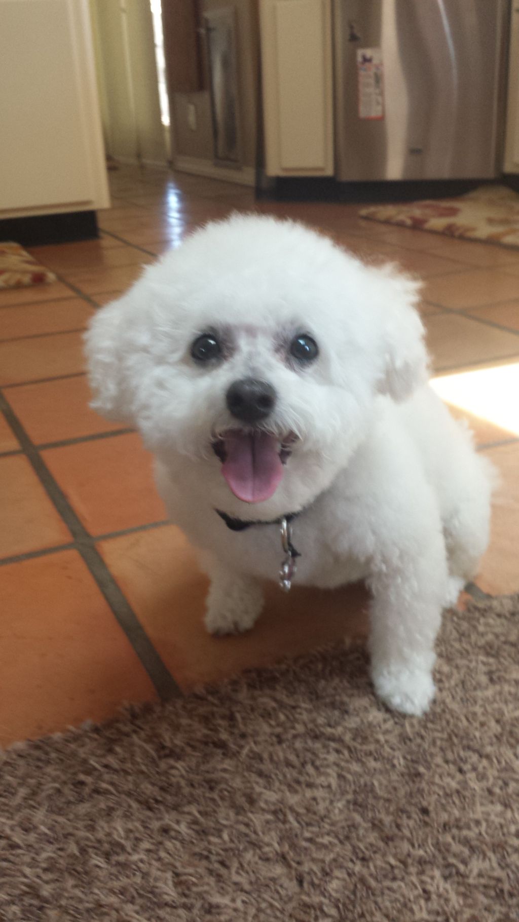 A Happy Damars Customer!