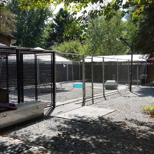 Here's the newly expanded play yard where dogs get