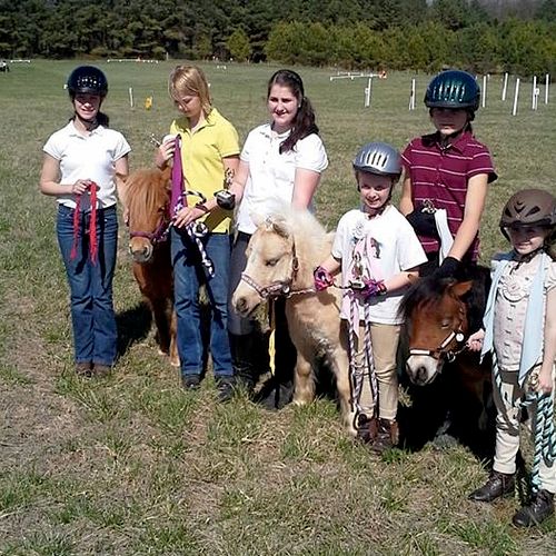 Students at a horse show