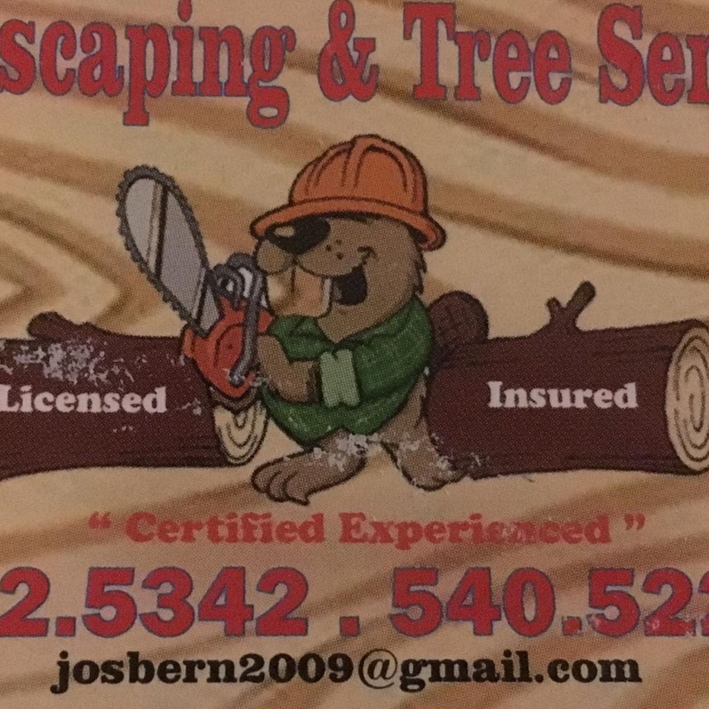 DAN’S LANDSCAPING & TREE SERVICE