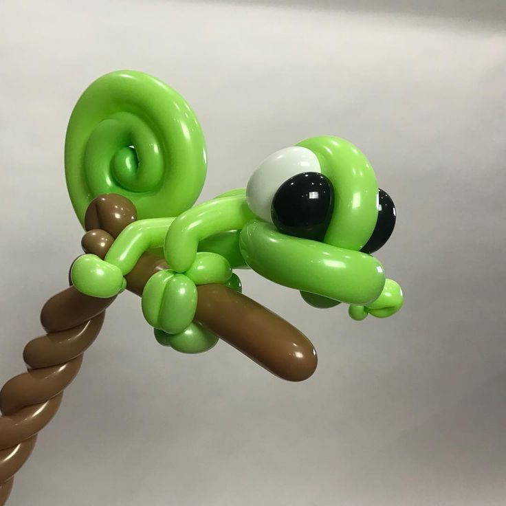 Chameleon 