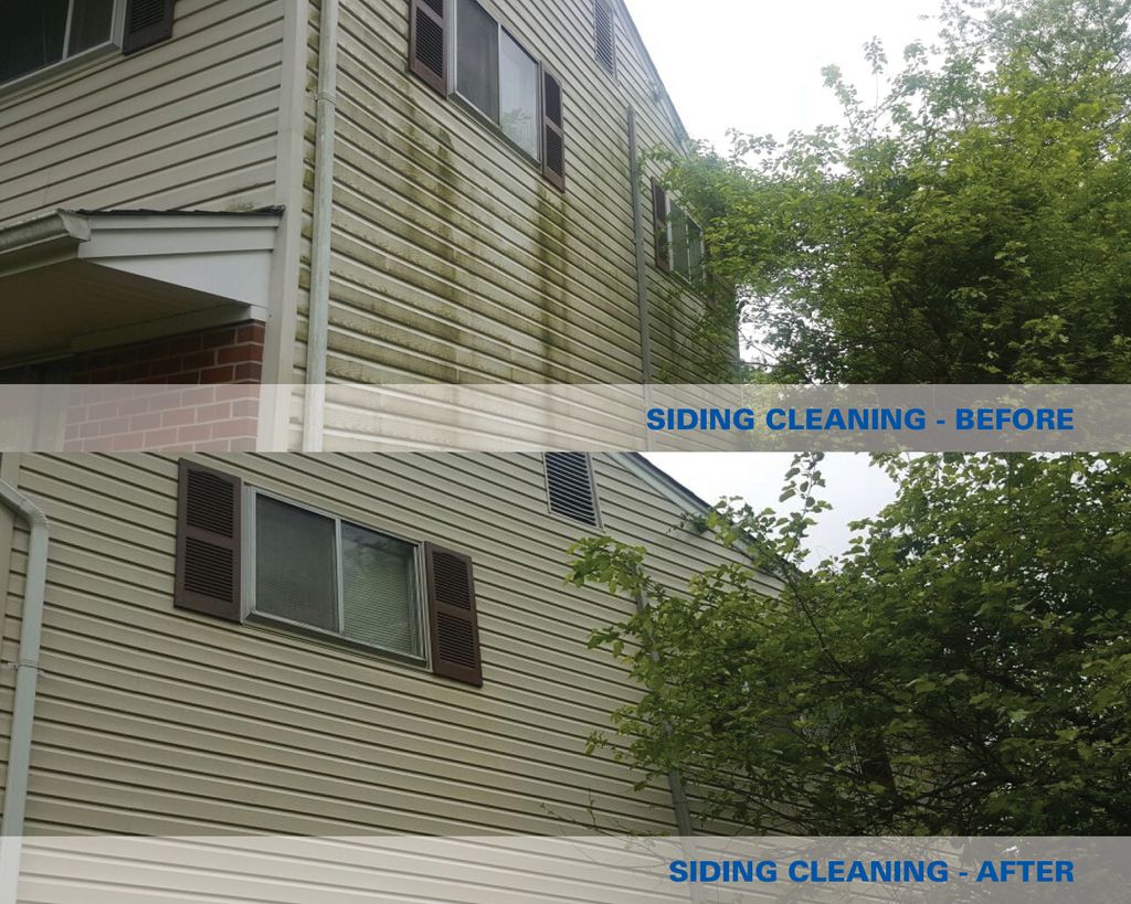 Siding Cleaning