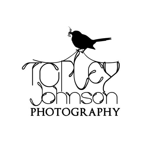This is from a logo contest design for a photograp