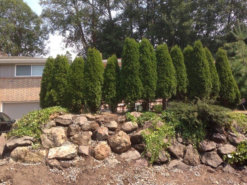 10 foot high wall well weeded.
Seattle WA