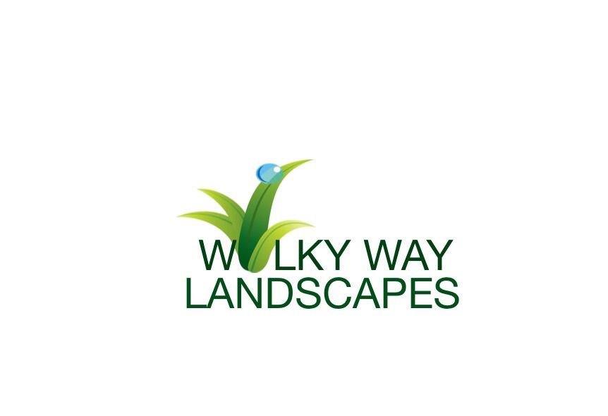 Wilky Way Landscapes
