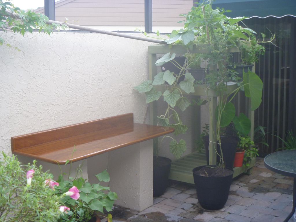 Countertop and plants stand / trellis installed