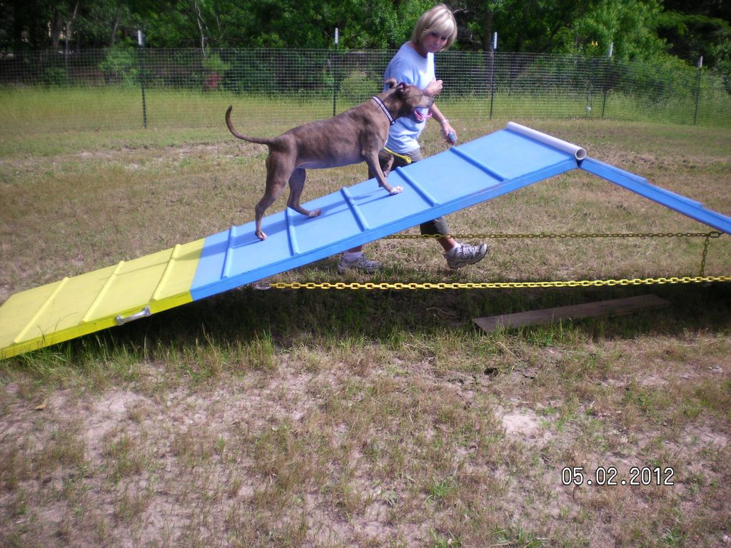 Sasha on the A-frame