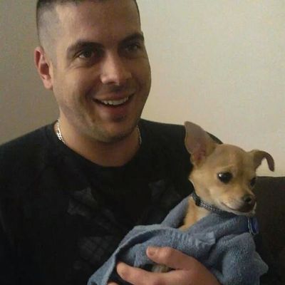 Avatar for Flawless Carpet Repair