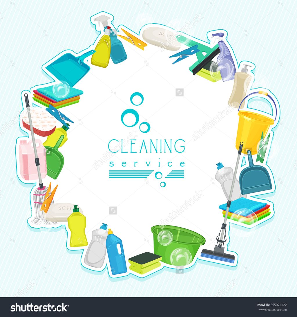 The cleaning Professionals