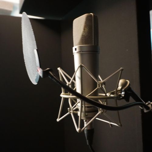 Neumman U87 Microphone in GIK Acoustics treated bo